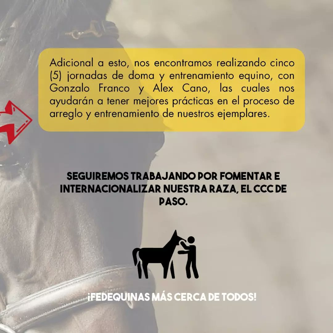 FedequinasOrg's tweet photo. ¿Conoces el convenio 20220438 suscrito con el Ministerio de Agricultura y Desarrollo Rural? ☝🏻

¡Fedequinas más cerca de todos!

#Fedequinas #Convenio #Gremio #ccc #Colombia https://t.co/QOE0Cil8Yq