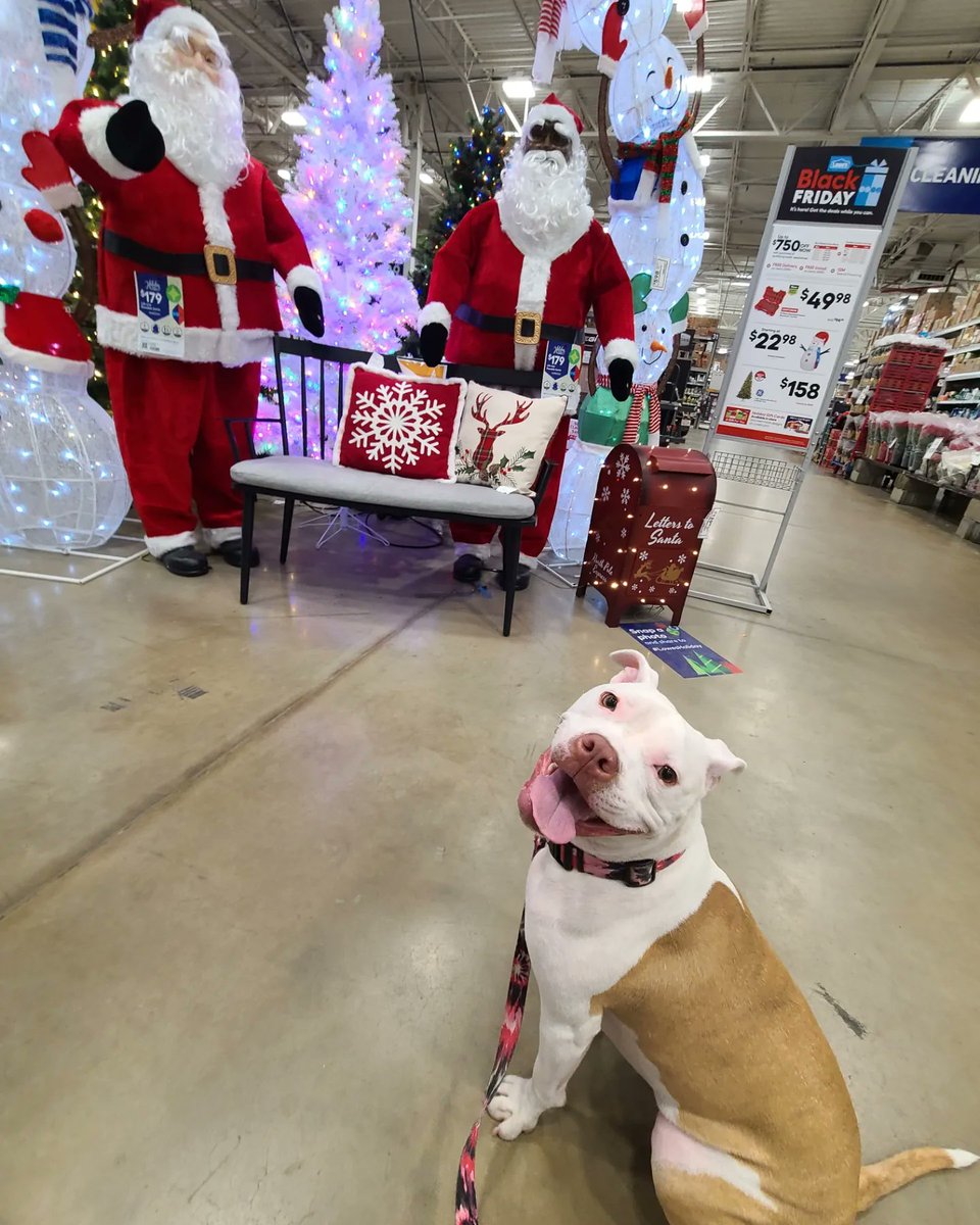bl0nde_bandit's tweet photo. @Lowes Heck yes! https://t.co/NDN5yWXZga