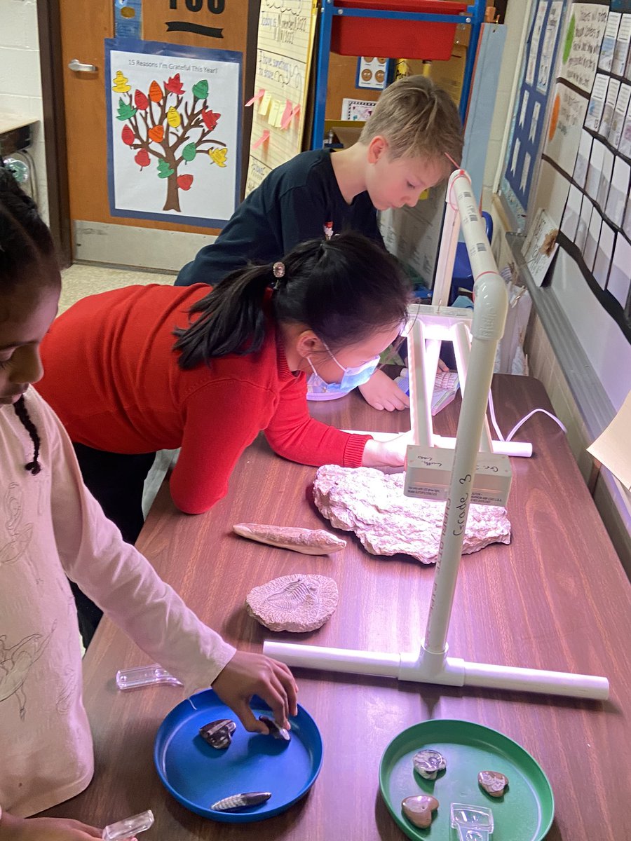 Dawn Stephenson tweet media