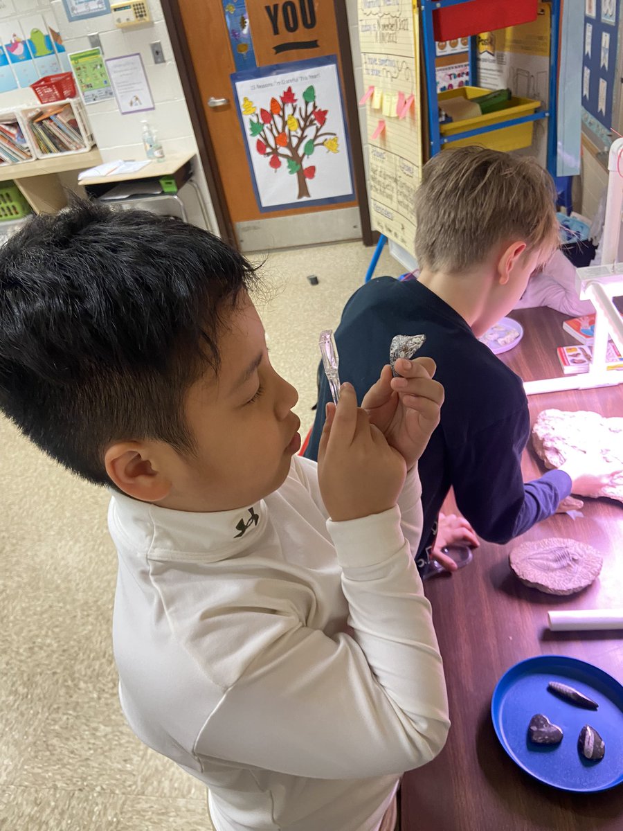 Dawn Stephenson tweet media