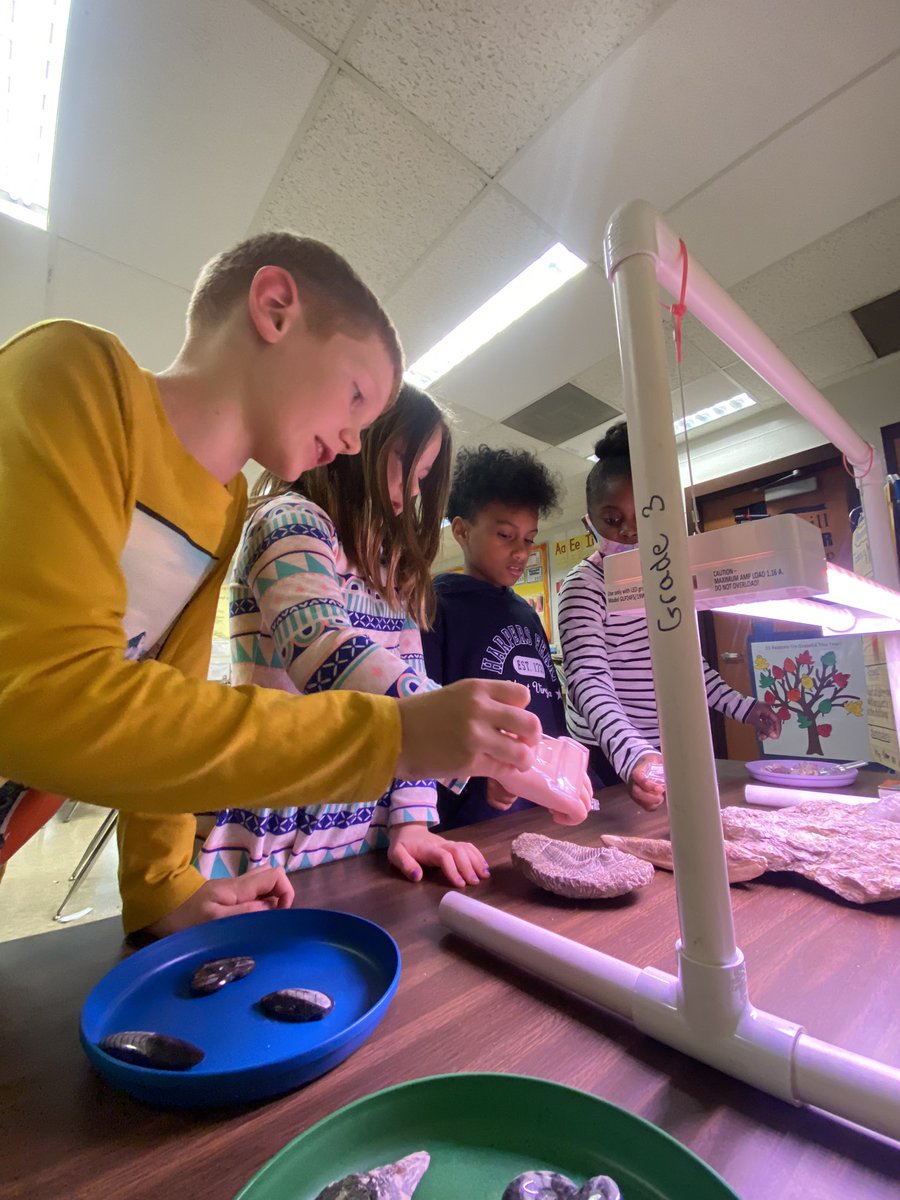 Dawn Stephenson tweet media