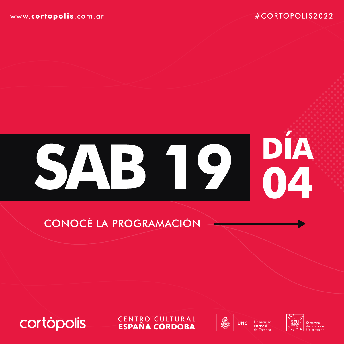 cortopolis's tweet photo. 🎞 Último día! Pero en #Cortopolis, aún tenemos mucho cine para vos!🎬

📽 Hoy, 15:30hs en Cineclub Municipal
📌 "VEO VEO" - Muestra de cortos realizados por y para infancias
📌 Foco en Sofía Velázquez 

20:30hs
🎬 "Mi última aventura" de E. Salinas y R. Sonzini

¡Te esperamos! https://t.co/qiWmIIOLNf