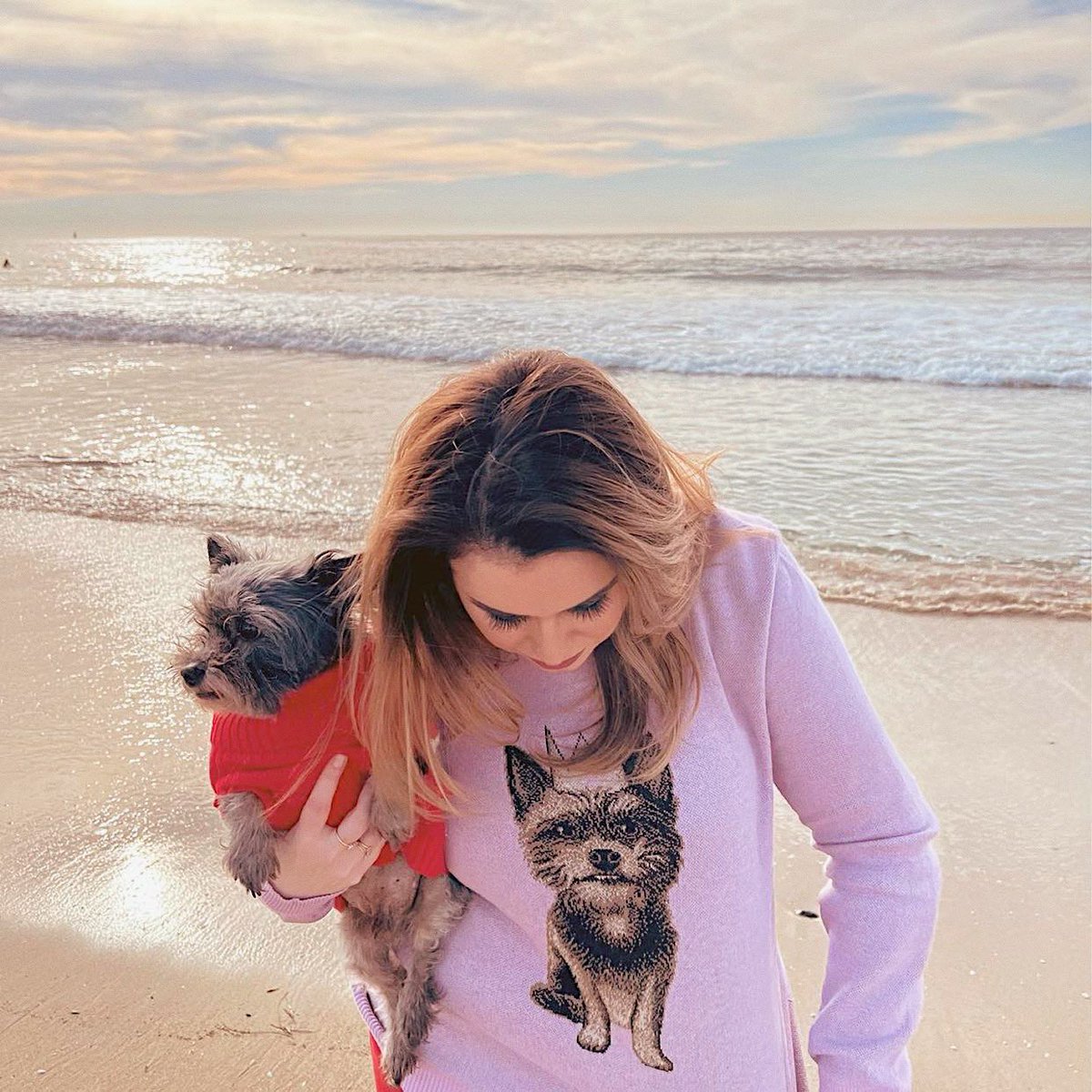 Knitwise_Inc's tweet photo. Lilac makes everything pretty, and your favorite pet on your sweater will absolutely make you feel happy 💖🐶 Don’t miss our last call for holiday shipping! Order your pawsome custom knits today! #customsweater #holidaygiftidea https://t.co/E9KgI9kUqd