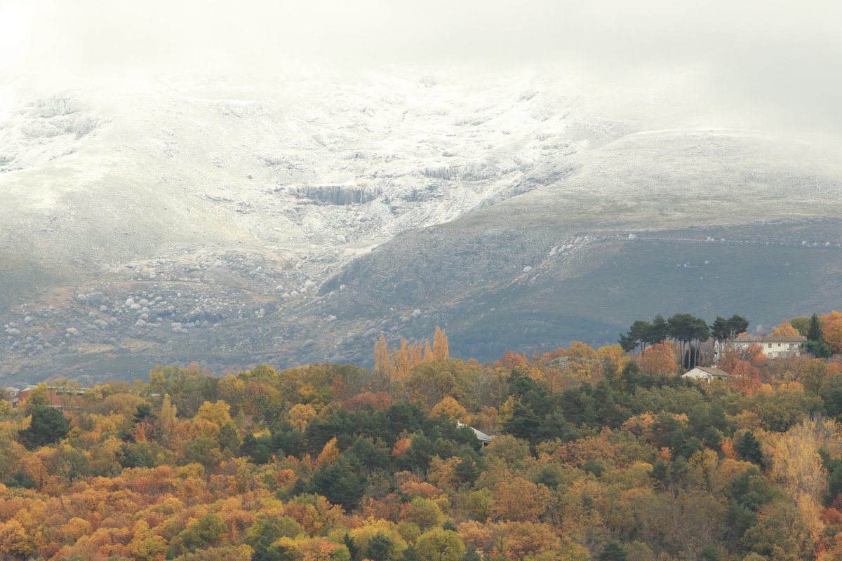 GeografiaUCLM's tweet photo. Analizar y debatir sobre el terreno en torno a estos espacios geográficos no hubiese sido posible sin la ayuda y colaboración de  nuestra Facultad @DeLetras_UCLM, los colegas del Dpto. de #Geografía de la @usal y el guiado de @AquilaNatura. Nuestras más sinceras gracias a todos https://t.co/NF5JzZt6uA