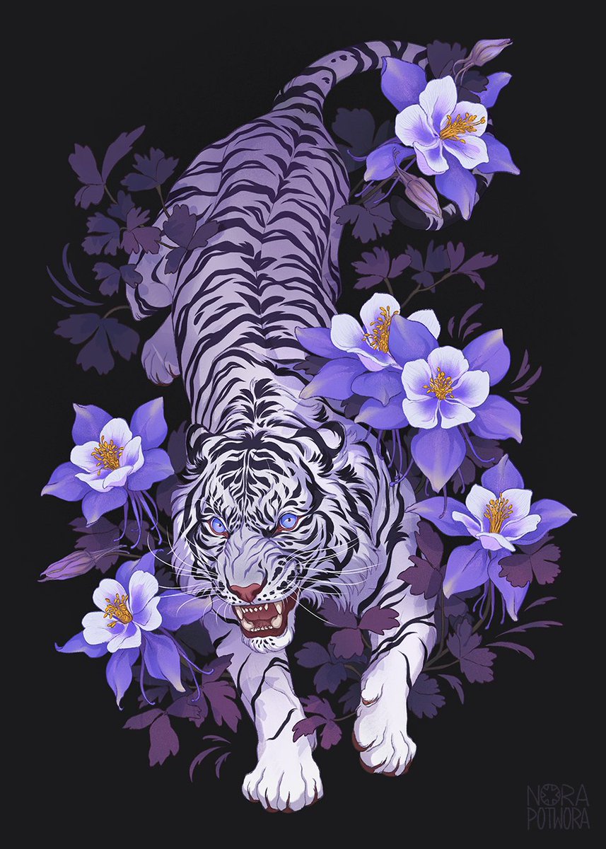 flower no humans tiger black background blue eyes purple flower animal focus  illustration images