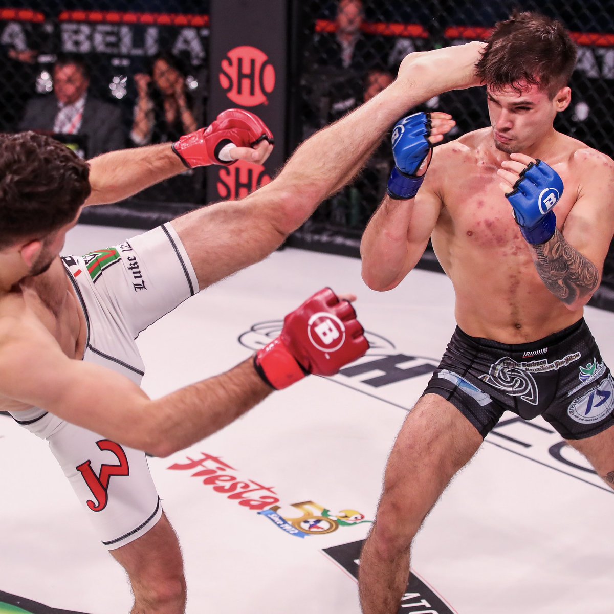 Bellator MMA tweet media