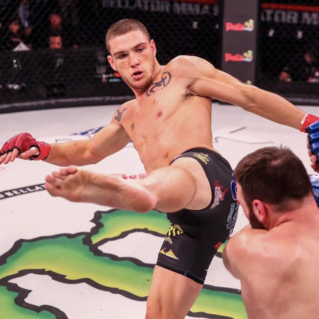 Bellator MMA tweet media