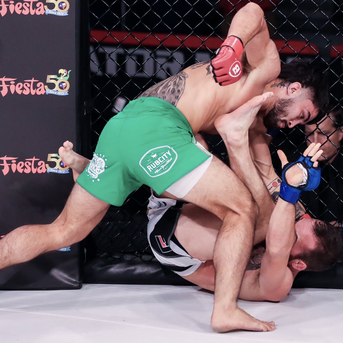 Bellator MMA tweet media