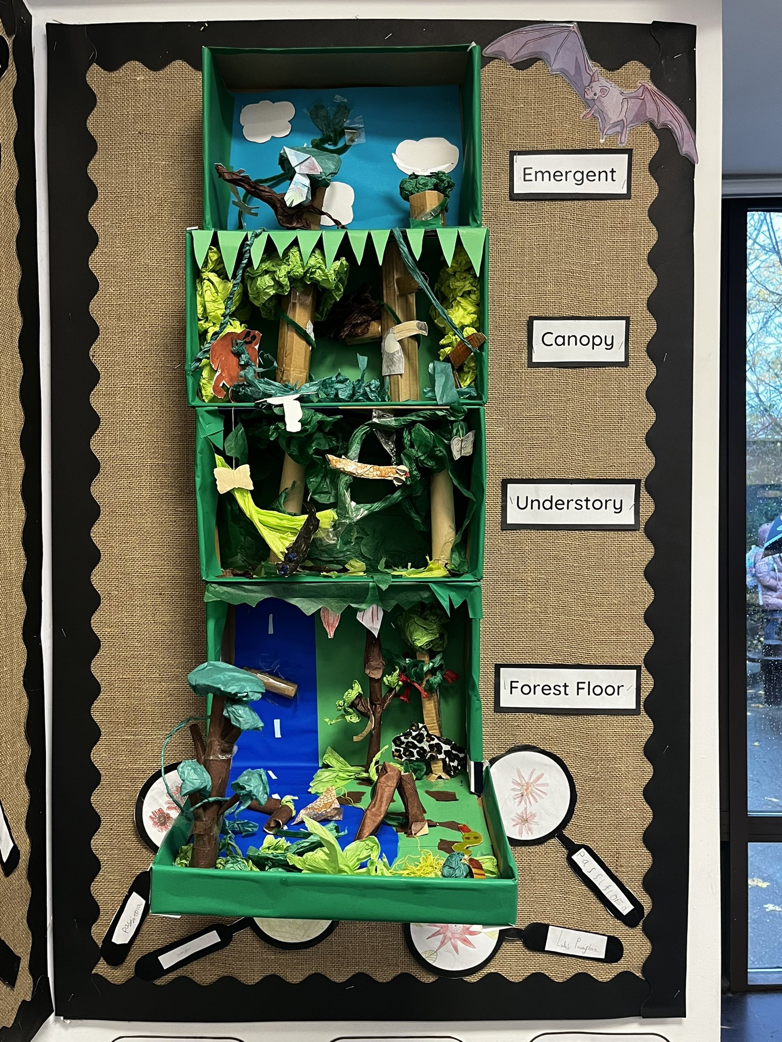 Layers of the Rainforest Diorama - CleverPatch