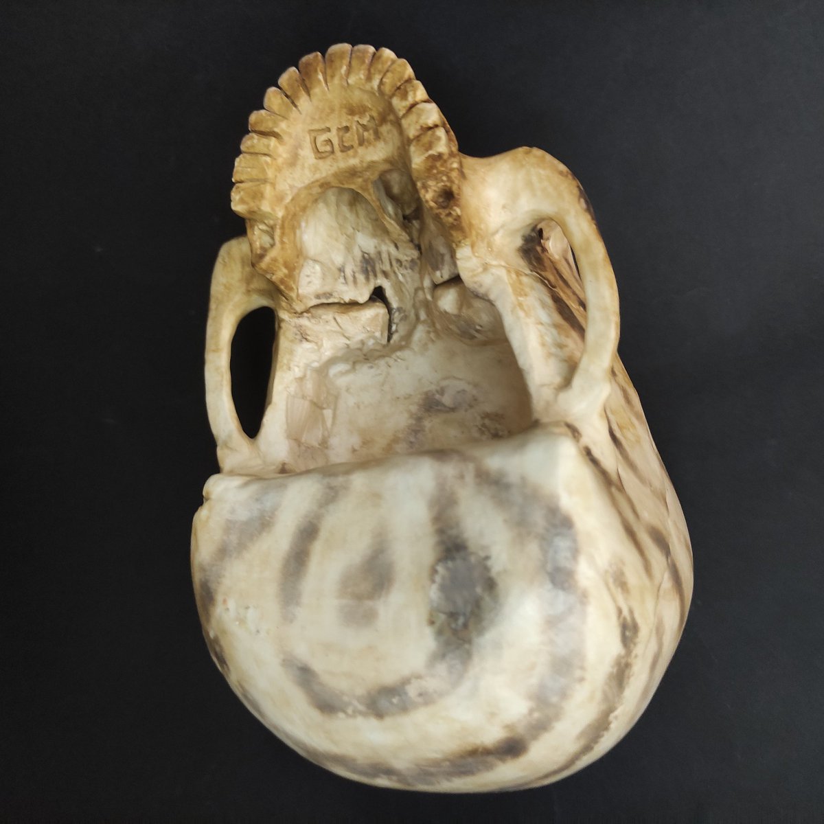 Calaveras artesanales. 🖤🖤🖤 
⬇️⬇️⬇️
ebay.es/sch/gcm-arte/m…
⬆️⬆️⬆️
#skullart #darkart #horrorart #skull