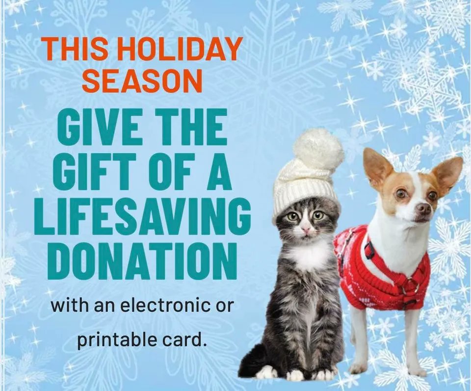 This holiday season, a perfect gift for a friend, family member, or co-worker is a lifesaving donation to the Idaho Humane Society memorialized with a card that you can give. Makes a great stocking stuffer or hang it on the tree!  buff.ly/2Cg5z7S