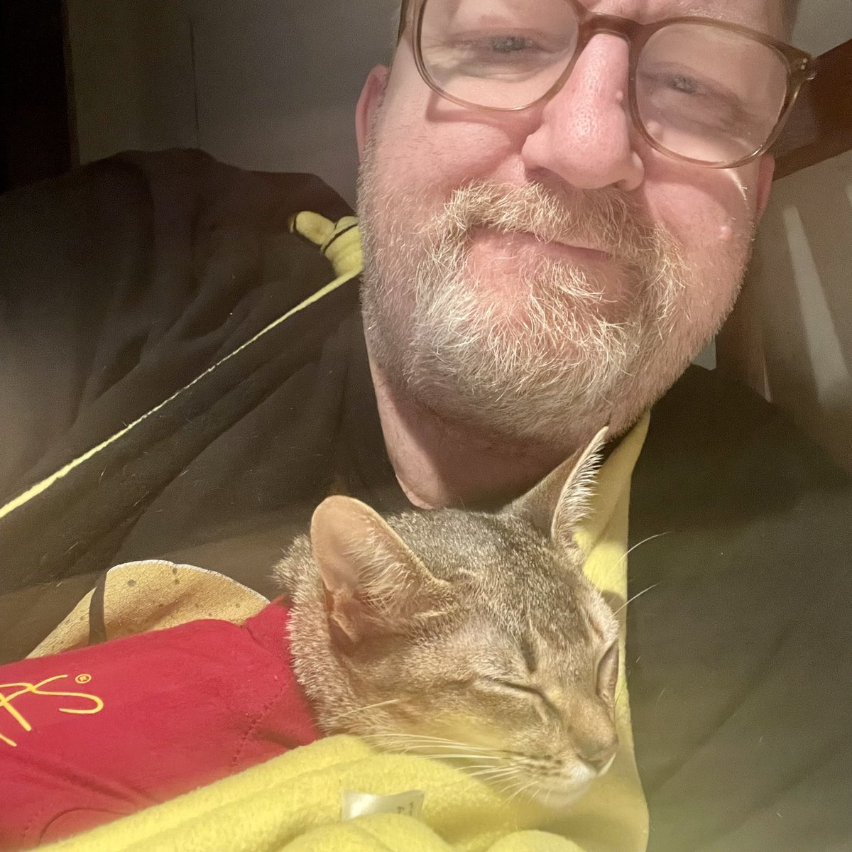 Chloe and Toshi tweet media