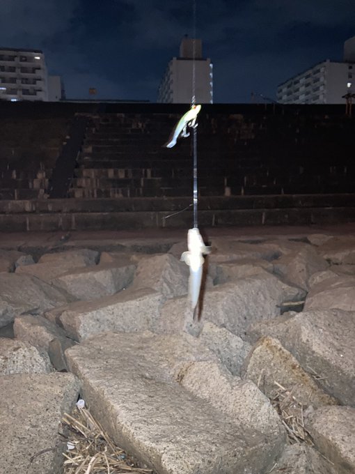 ハゼが釣れた! 仕掛けが口に掛かったままのやつを俺のルアーが引っ掛けた 