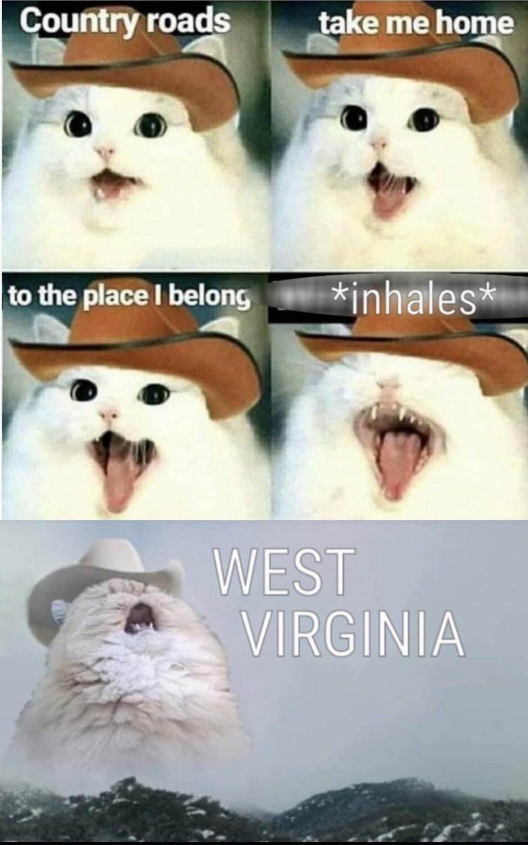 WholesomeMeme's tweet photo. https://t.co/uiGWgaAJEq