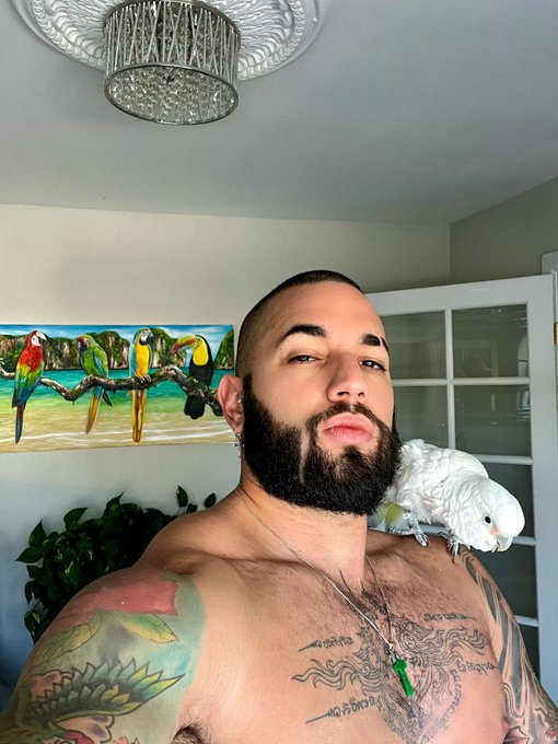 Baby 🤍☁️ https://t.co/bna7emTWEL