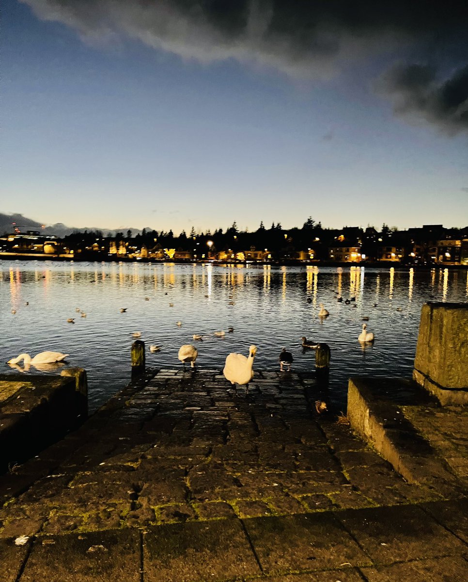 richardosman's tweet photo. Such a wonderful few days in Reykjavik at @icelandnoir. Can't wait to go back. https://t.co/D4GxHwGpyz