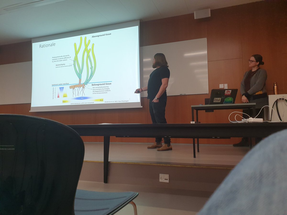 <a href="/KE_Brodersen/">Kasper E Brodersen</a> and <a href="/merielj3/">Meriel J. Bittner</a> presenting their exciting study on coupling imaging of the #seagrass #microenvironment with molecular analyses of microbial diversity and activity in the #rhizosphere. Nice collaboration <a href="/MicroSensing/">MicroEcology Lab</a> @LasseRiemann groups