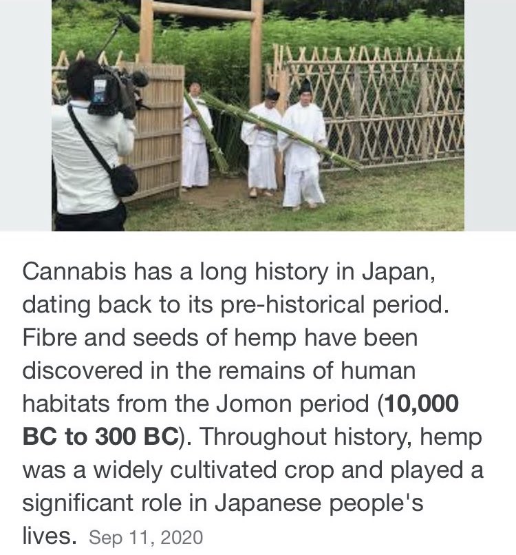 Japanisnotdying's tweet image. Cannabis is a severe punishment in Japan.
 Cannabis is taught to be harmful at school.
 The Sick people cannot prescribe cannabis.
 Japan plans to impose a crime of using cannabis.
 I think It’s wrong.
 I want many people to know the truth.
#Cannabis #TheHighClass
