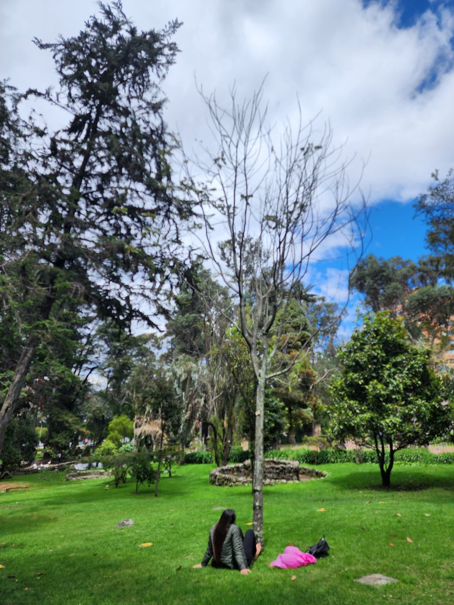 singshobhasing's tweet photo. Spending time in nature can bring unbelievable benefits: Mental, physical, emotional and spiritual.
#ForestTherapy #ParqueElChico https://t.co/kWj05Kyh4k