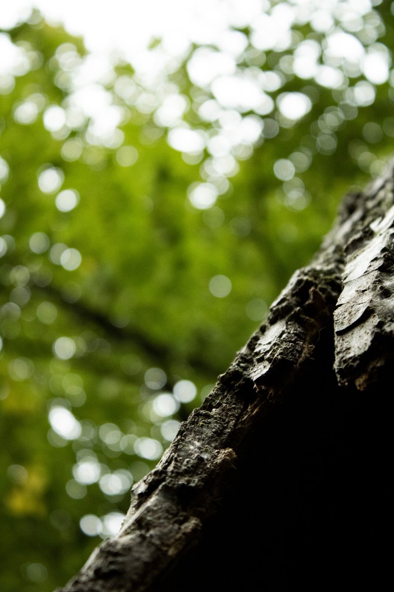 CambersCreative's tweet image. Peosta, Iowa, 09/10/2022 #photography #photooftheday #photo #photoshop #PHOTOS #photographers