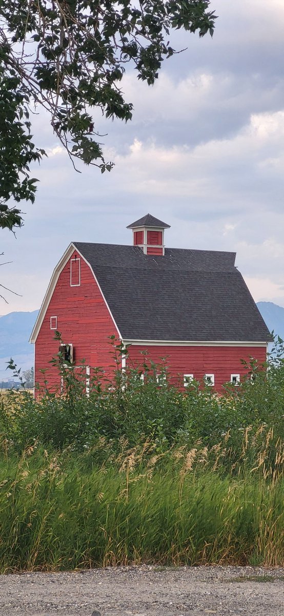 DerekGuedry's tweet photo. @FaldoFarmMTUSA This looks like the barn right near my father-in-laws place. We take a picture of this barn every trip! https://t.co/Oa494dgxrx