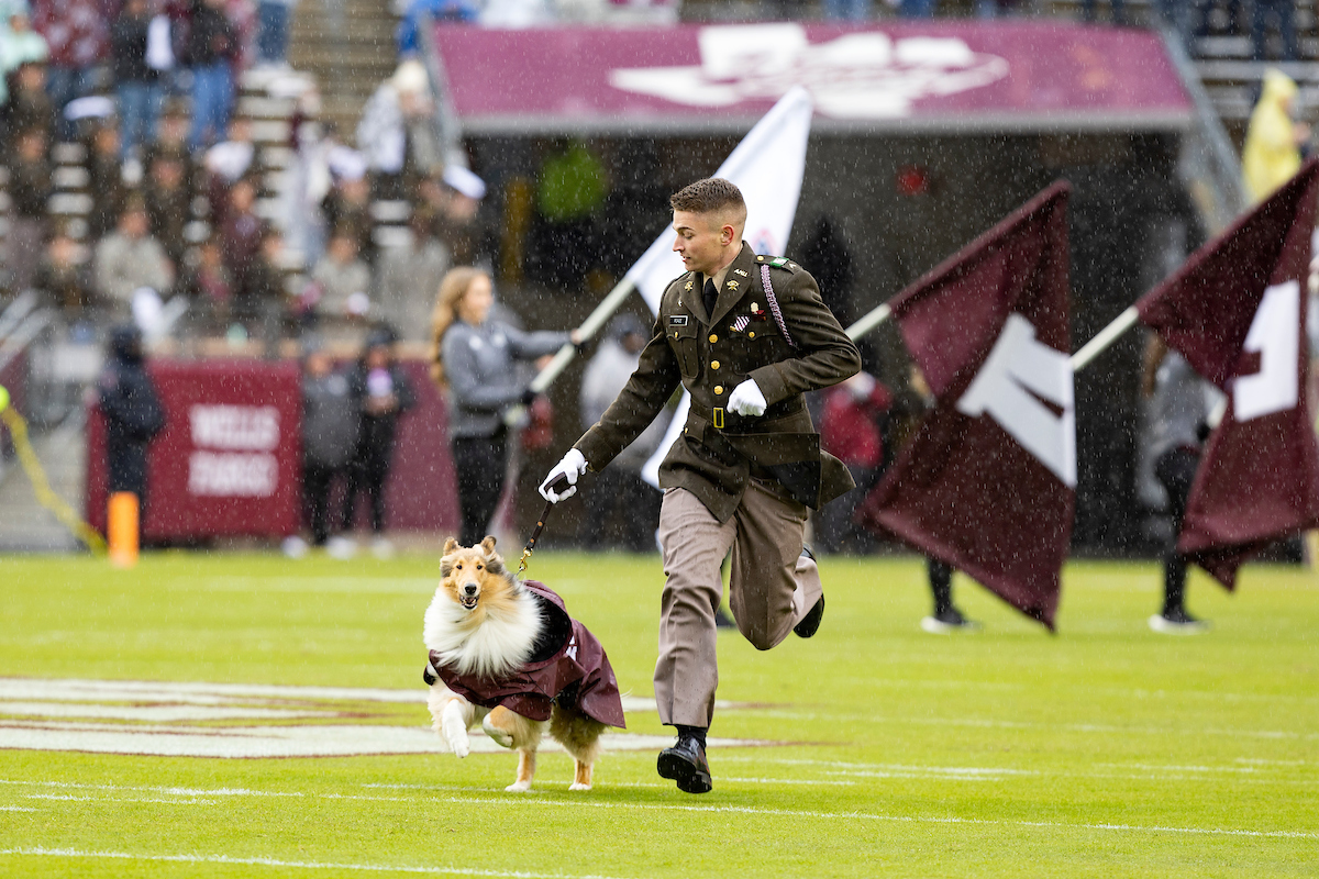 Rain rain go away, watch me zoom anyway!!!