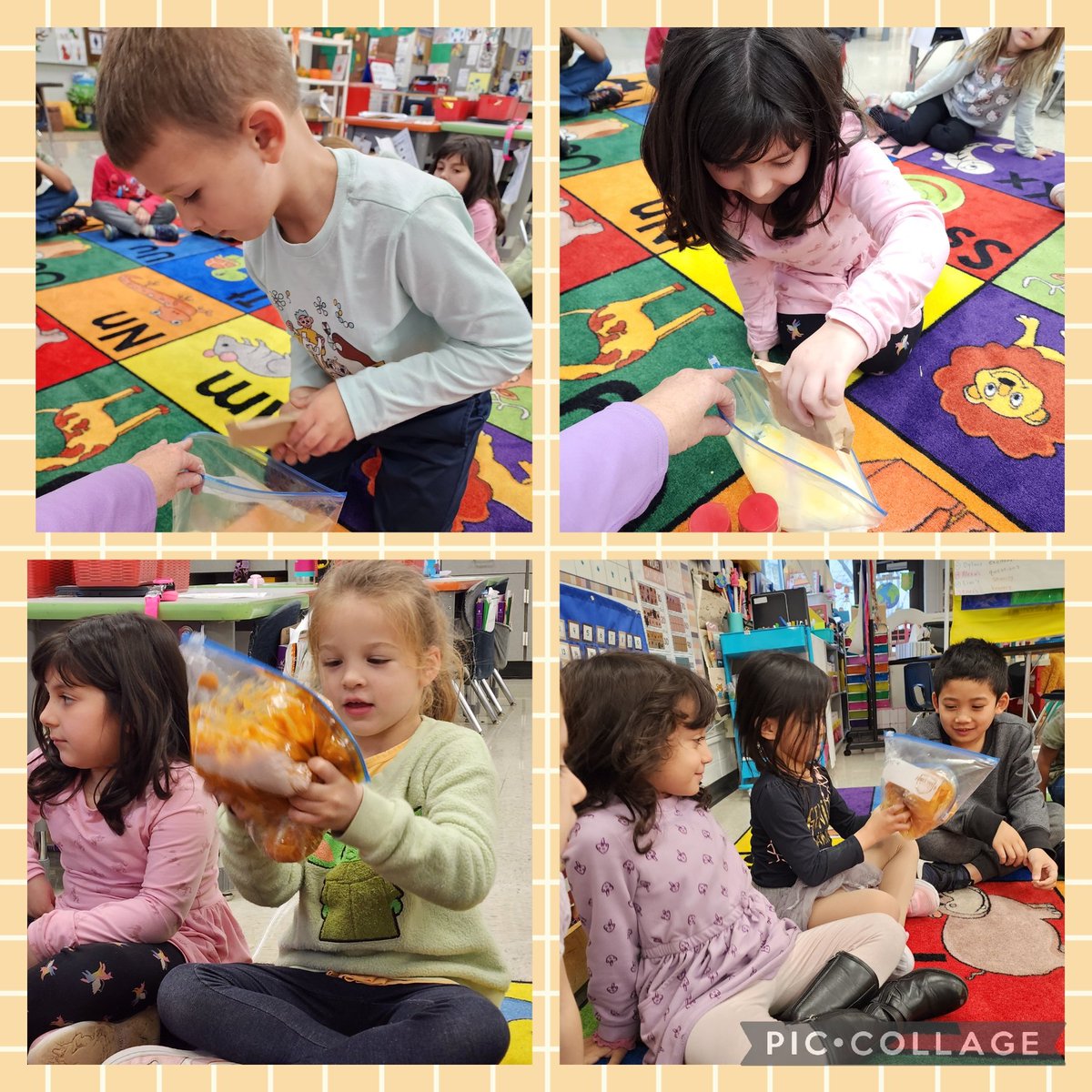 NelsonKindRCrew's tweet photo. Yesterday we made pumpkin pie in a bag! The kiddos smooshed and smashed our ingredients. It ended with a kiddo saying..."I love science." Perfect way to end before break! #ProudToBeD12 https://t.co/KYuiYDbXT7