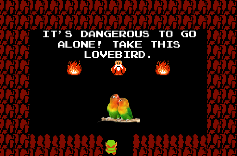 BotDangerous's tweet image. It's dangerous to go alone! Take this lovebird.
