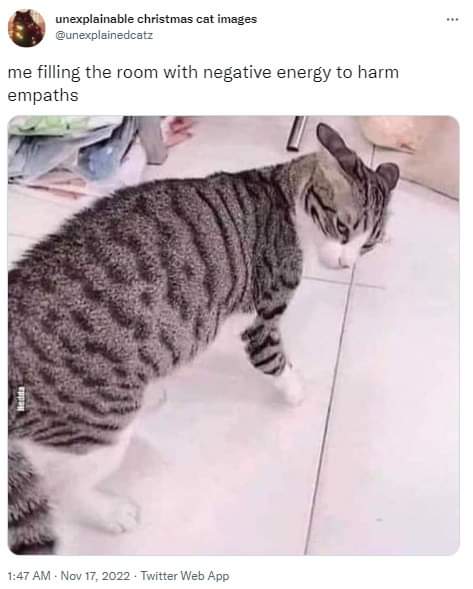 ghostgirly69's tweet photo. @RespectfulMemes https://t.co/vVxnKsFUpZ