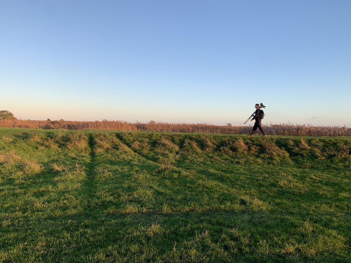 Jenny Donelan tweet media