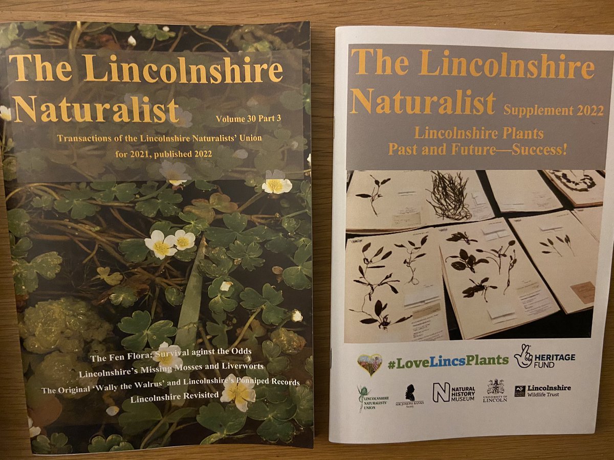 Nick Tribe tweet media