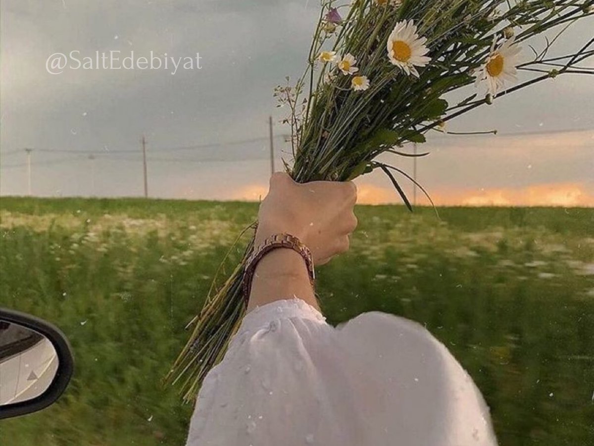 Kalabalığa karışmak için hiçbir özellik gerekmez. Ama yalnız ve dik durmak için, gerçekten çok şey gerekir.

Charles Bukowski