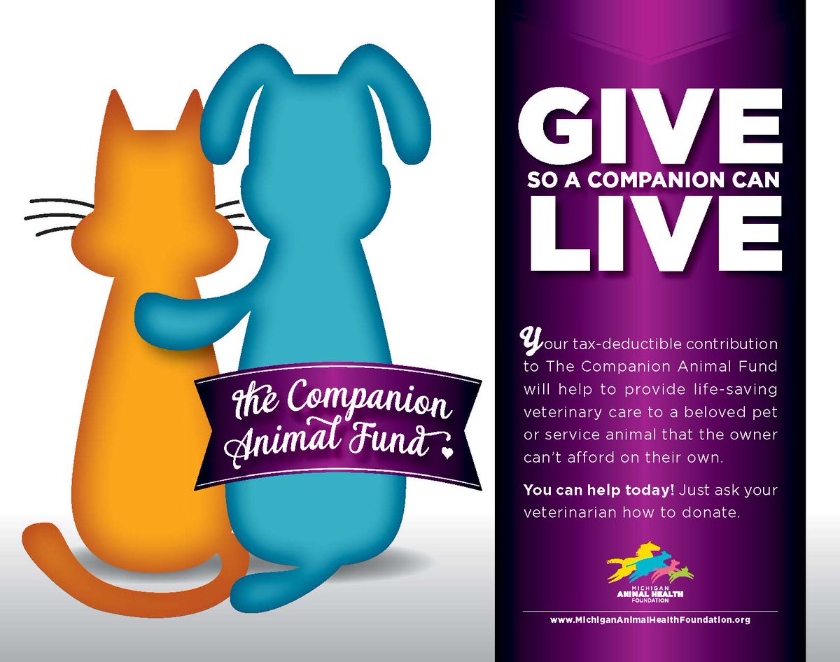 Tweet by Michigan VMA