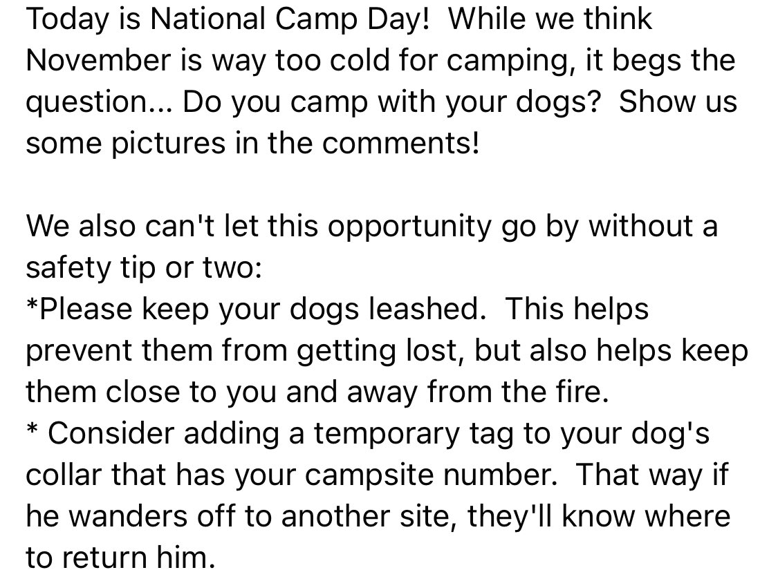 BulldogHavenNW's tweet photo. Today is National Camp Day! While we think November is way too cold for camping, it begs the question... Do you camp with your dogs?
We also can't let this opportunity go by without a safety tip or two.
Stay safe out there, everyBullie!
#nationalcampday #randomholidays https://t.co/S92MvUEYfO