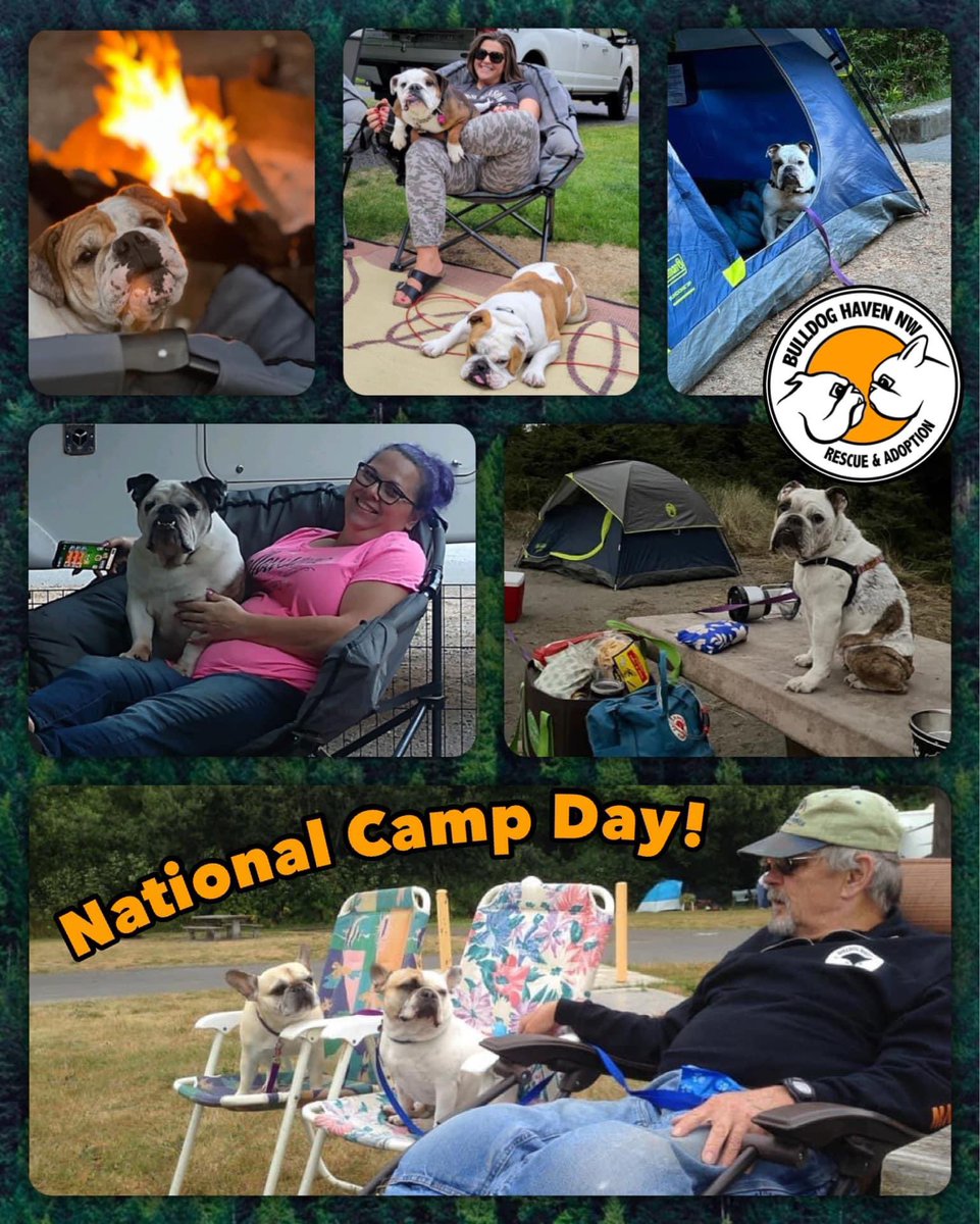 BulldogHavenNW's tweet photo. Today is National Camp Day! While we think November is way too cold for camping, it begs the question... Do you camp with your dogs?
We also can't let this opportunity go by without a safety tip or two.
Stay safe out there, everyBullie!
#nationalcampday #randomholidays https://t.co/S92MvUEYfO