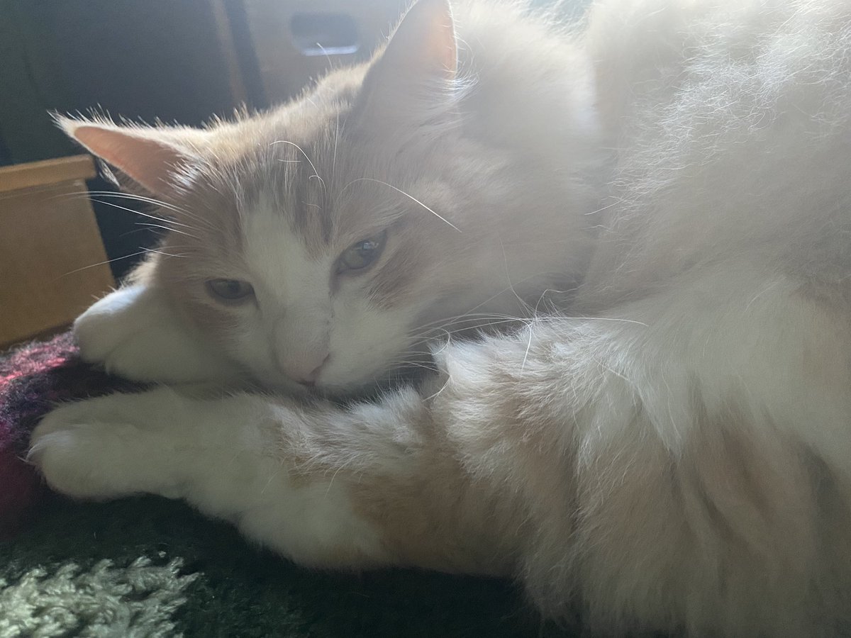 Aleksi says hello on this bright, sunny, briskly chill Saturday.