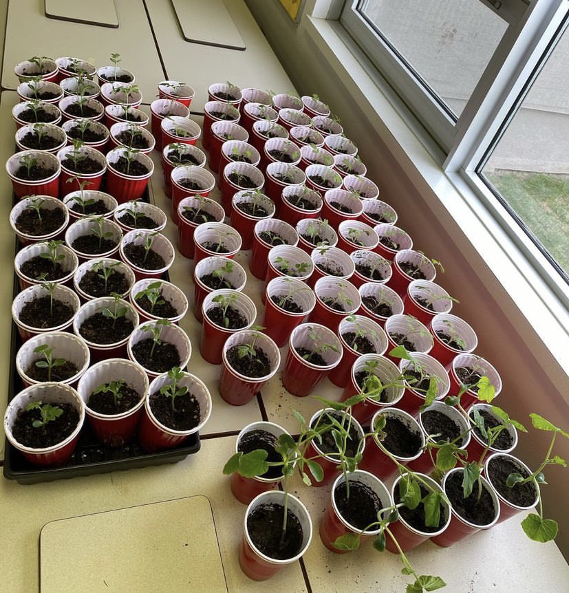 Facts: We spend 90% of our time indoors. The human body was only designed to sit for 20 minutes AT A TIME. I’m voting every single day in the #raisethebarn contest. 🙏 take a minute &amp; vote for this school &amp; community wide initiative! raisethebarn.ca