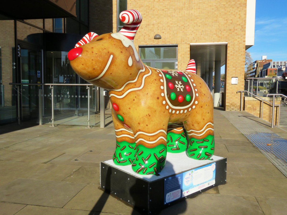 Dave: The Steel City Snapper tweet media