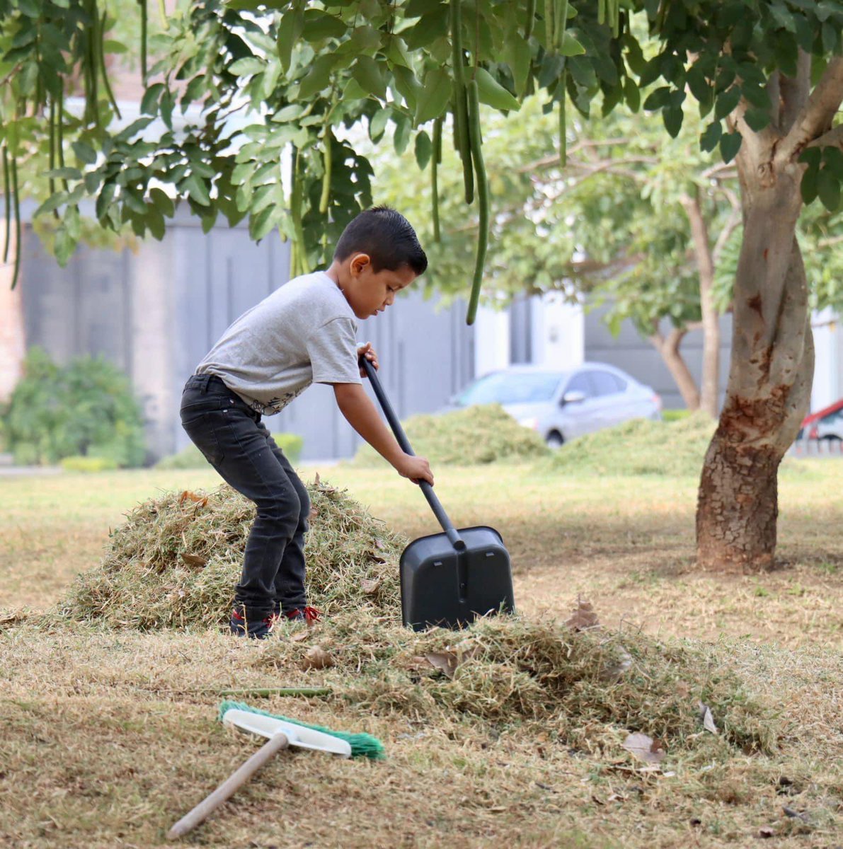 ColimaMunicipio's tweet photo. ¡Sábado de #Talacheando 👏! ¡Arreglando el jardín del fraccionamiento #ElVolantín! Gracias a todas y todos los integrantes del Ayuntamiento, quienes semana a semana trabajan por el #ColimaLimpio que todas y todos queremos 🙌
¡Sigamos poniendo #ManosALaObra! https://t.co/4VXrxm3A0i