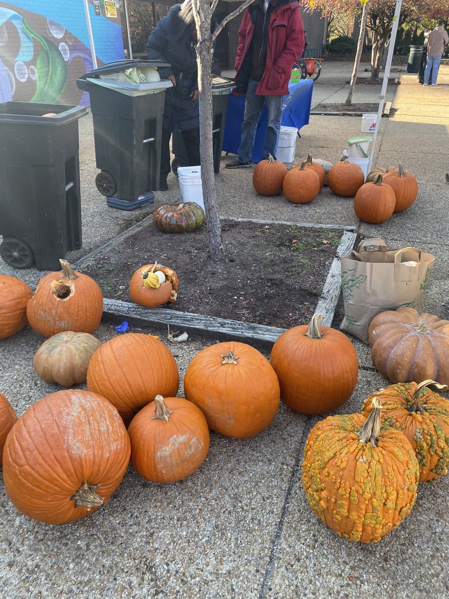 Pumpkin rescue at #foodwaste drop off! Intact pumpkins are #PumpkinsforthrPeople food donations, cut pumpkins 🎃 are diverted from landfill for #compost