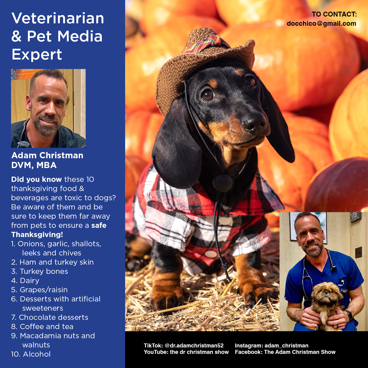 Are Onions Or Turkey Skin Bad For Dogs