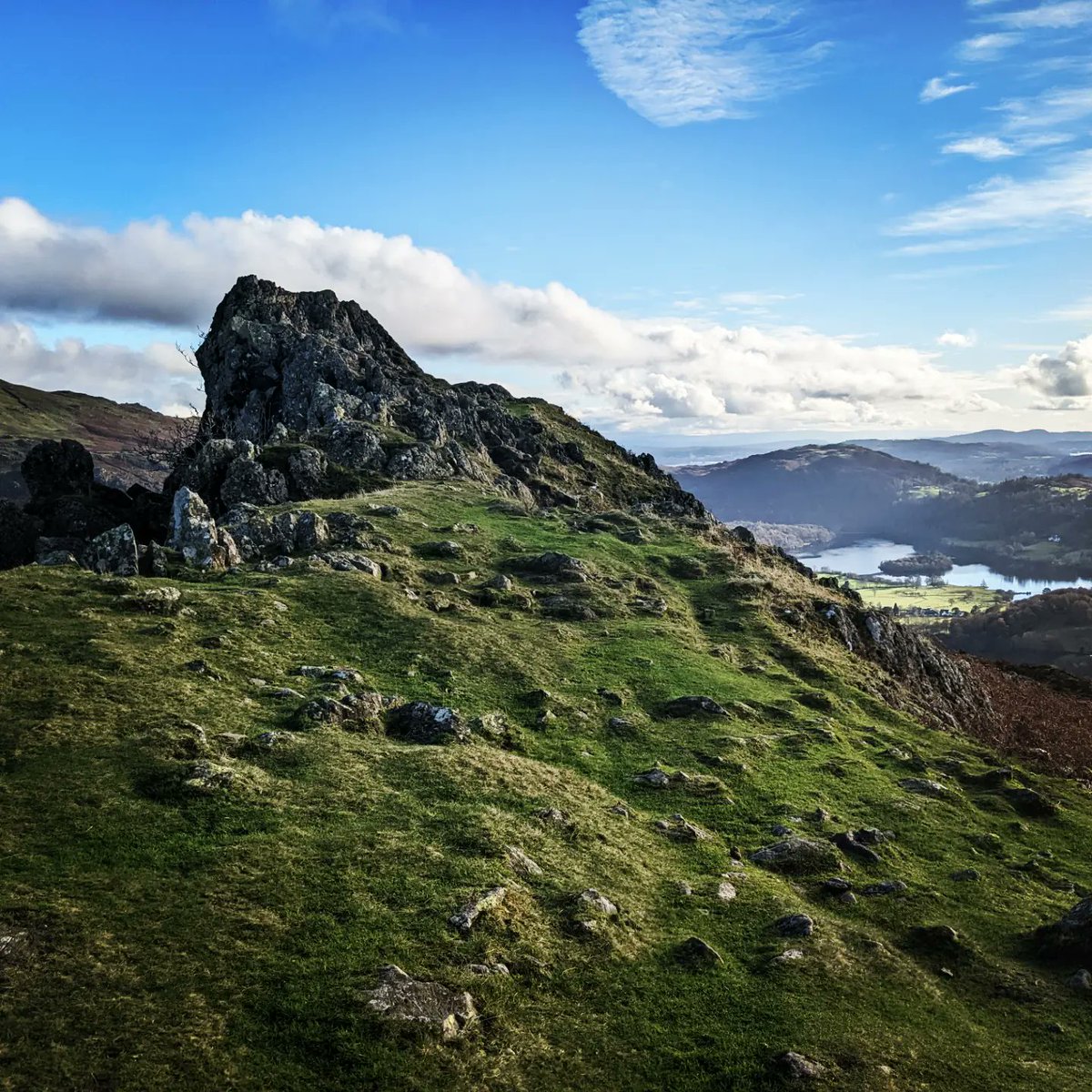 Helen Kay tweet media