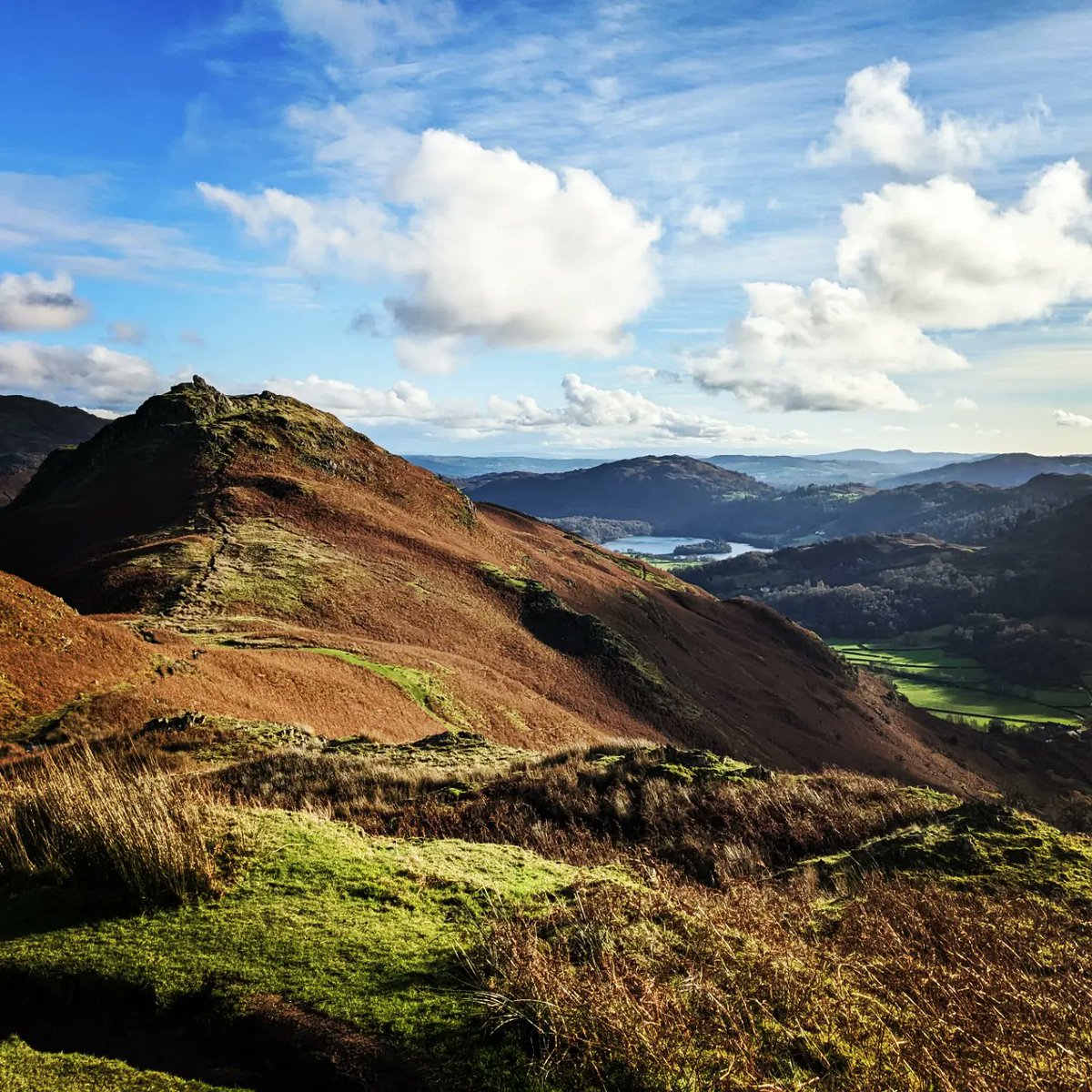 Helen Kay tweet media