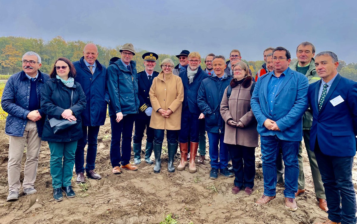 PhMauguin's tweet photo. Avenir de nos forêts : @sretailleau et @MFesneau annoncent un programme prioritaire de recherche doté de 50 M€ par @France_2030, piloté par @INRAE_France , avec le @Cirad et le @CNRS , @ONF_Officiel et tous les acteurs de la forêt et du bois regroupés dans le GIP ECOFOR. https://t.co/bnEFh3ml0b