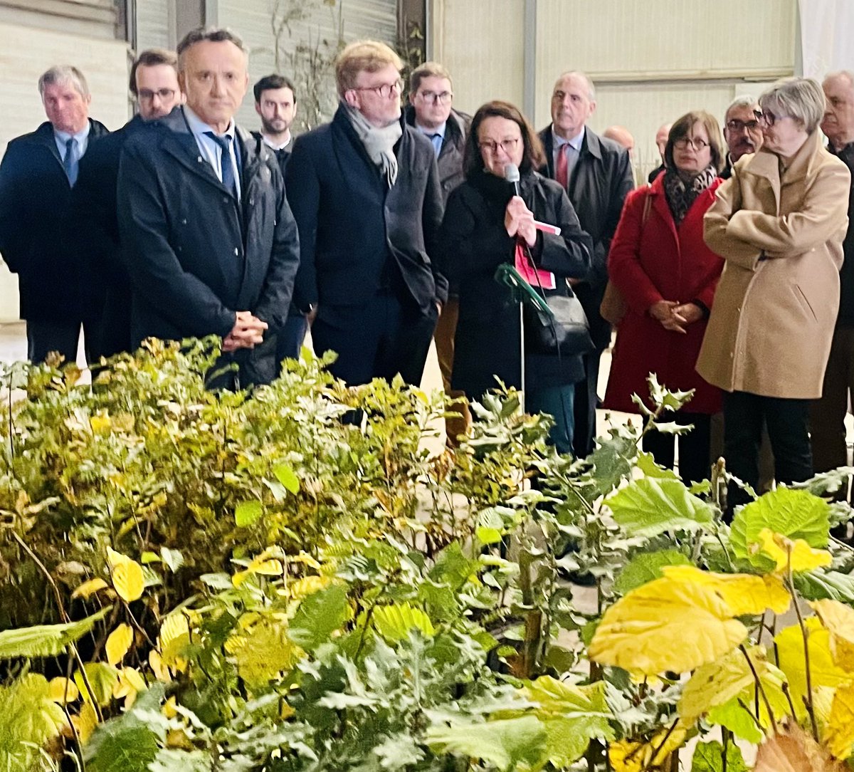 PhMauguin's tweet photo. Avenir de nos forêts : @sretailleau et @MFesneau annoncent un programme prioritaire de recherche doté de 50 M€ par @France_2030, piloté par @INRAE_France , avec le @Cirad et le @CNRS , @ONF_Officiel et tous les acteurs de la forêt et du bois regroupés dans le GIP ECOFOR. https://t.co/bnEFh3ml0b