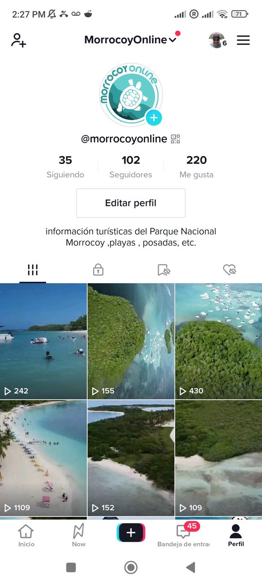 Síguenos en Tik tok cómo "morrocoyonline"