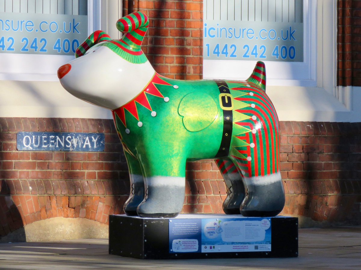 Dave: The Steel City Snapper tweet media