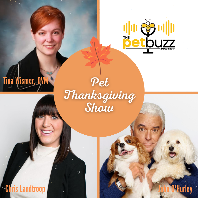 Thanksgiving Show! 🐶😺
<a href="/ASPCA/">ASPCA</a> Tina Wismer shares about holiday hazards, Cherry Hill's Chris Landtroop talks about pet pictures with Santa and <a href="/TheNatlDogShow/">National Dog Show</a> John O’Hurley is speaking about the holiday dog show. 
ThePetBuzz.com.
#nationaldogshow #petphotoswithsanta