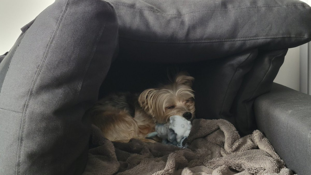 the silly things that make my baby girl happy 🥰