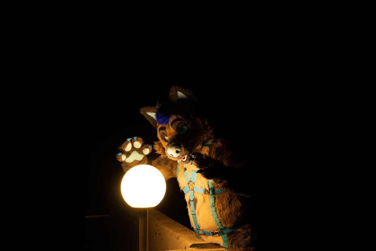 I predict ...... tomorrow is ...... SUNDAY!
Have a nice weekend y'all ^^

📷 : <a href="/FlyingPuma_/">FlyingPuma</a> 
 🪡  : @fursuitparade

#glc12 #furry #fursuit #FursuitFriday #FursuitEveryday #hyena #weekend